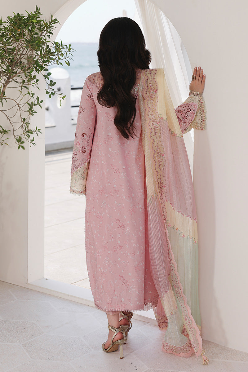 Qalamkar – Tea Pink Chikankari ‘26